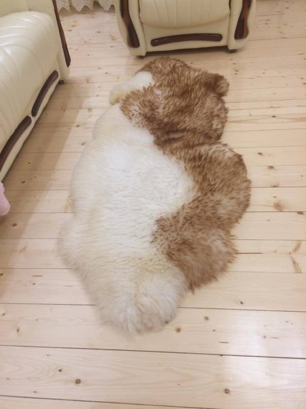 Sheepskin Rug 2-in-1 Wave Design (200×70 cm) – Natural Fur Carpe