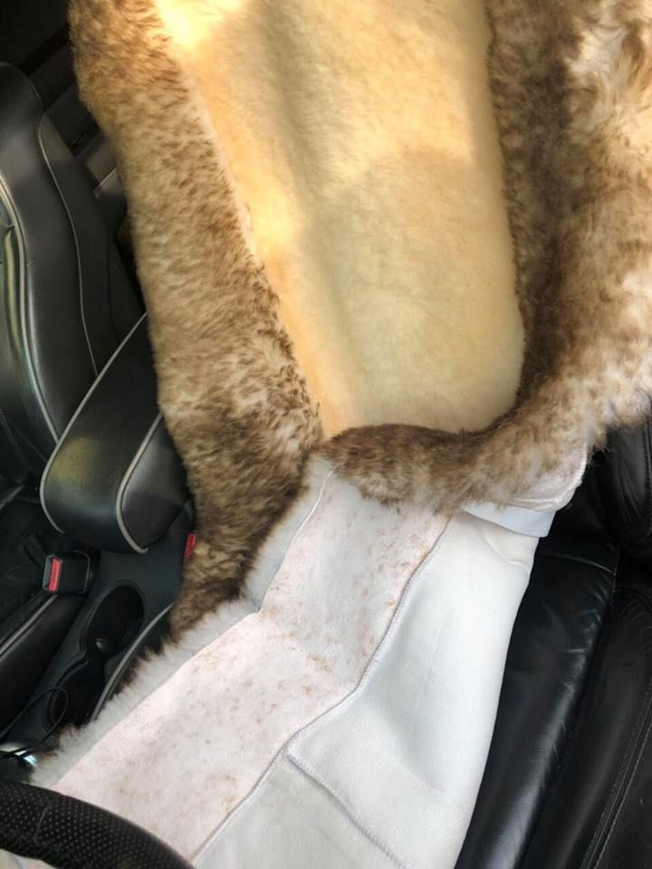 Mixed Sheepskin Car Seat Cover – Natural Fur Universal Fit