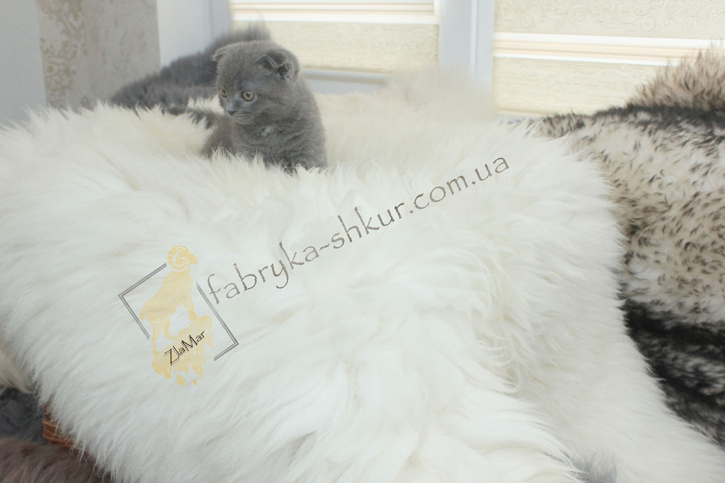 Exclusive Natural Sheepskin 120×70 cm – Premium Wool Rug