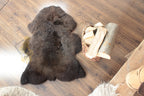 Dyed Brown Sheepskin 110×65 cm – Natural Wool Rug