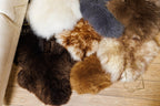 White Sheepskin with Coffee-Tipped Wool 100×60 cm – Natural Rug